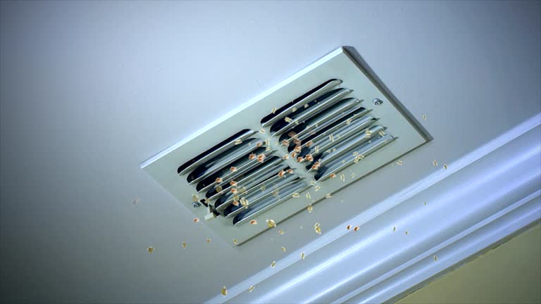 Best Emergency Air Duct Cleaning  in Thompsonville, PA